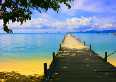 Bespoke Wood Decking